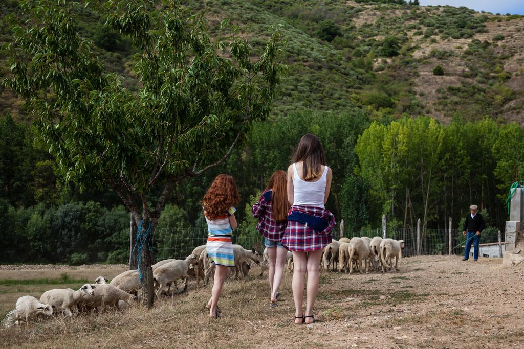A. Montesinho Turismo Βίλα Bragança Εξωτερικό φωτογραφία